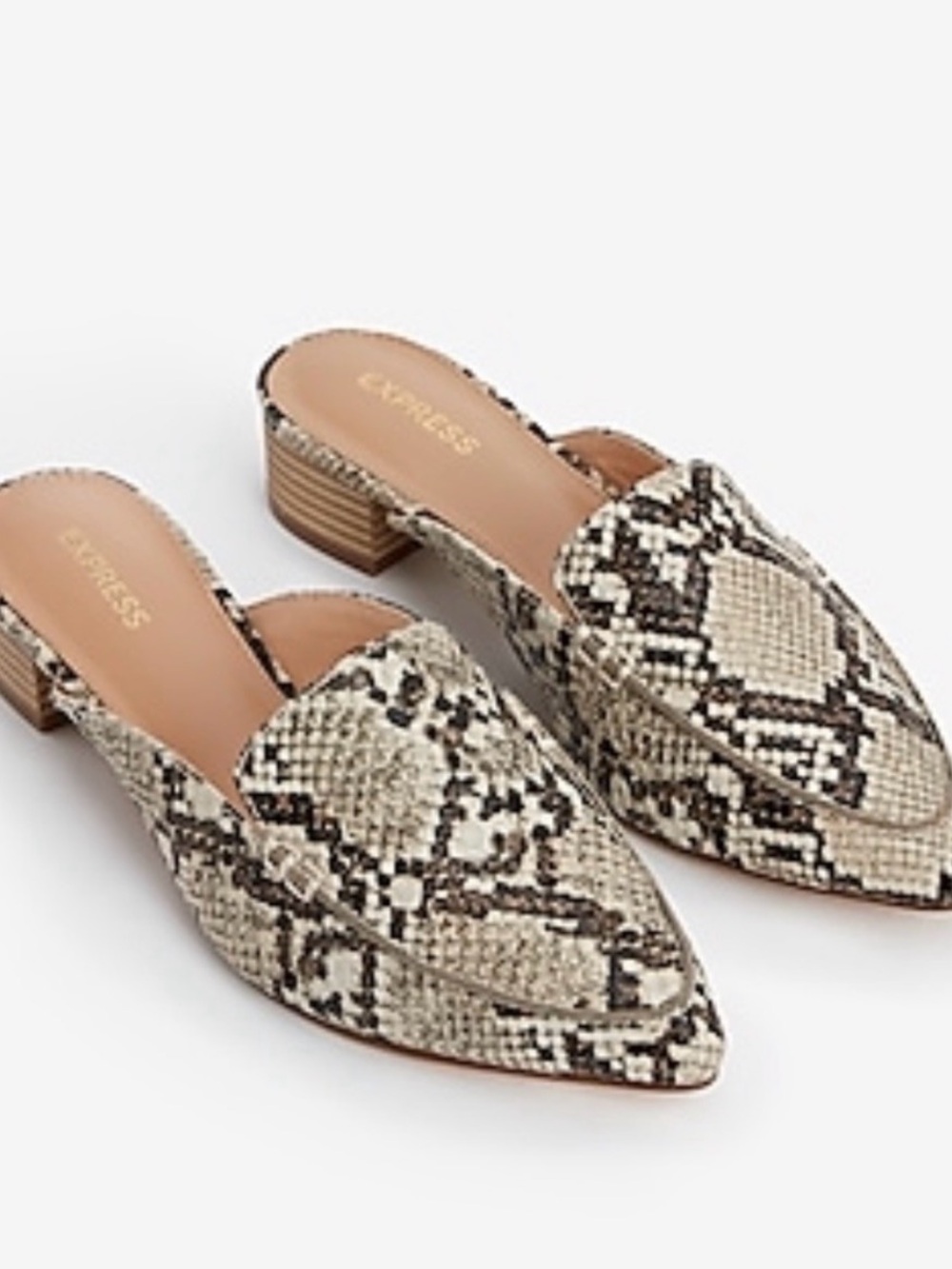 Express Snake-Print Pointed Toe Mule in Black and Cream